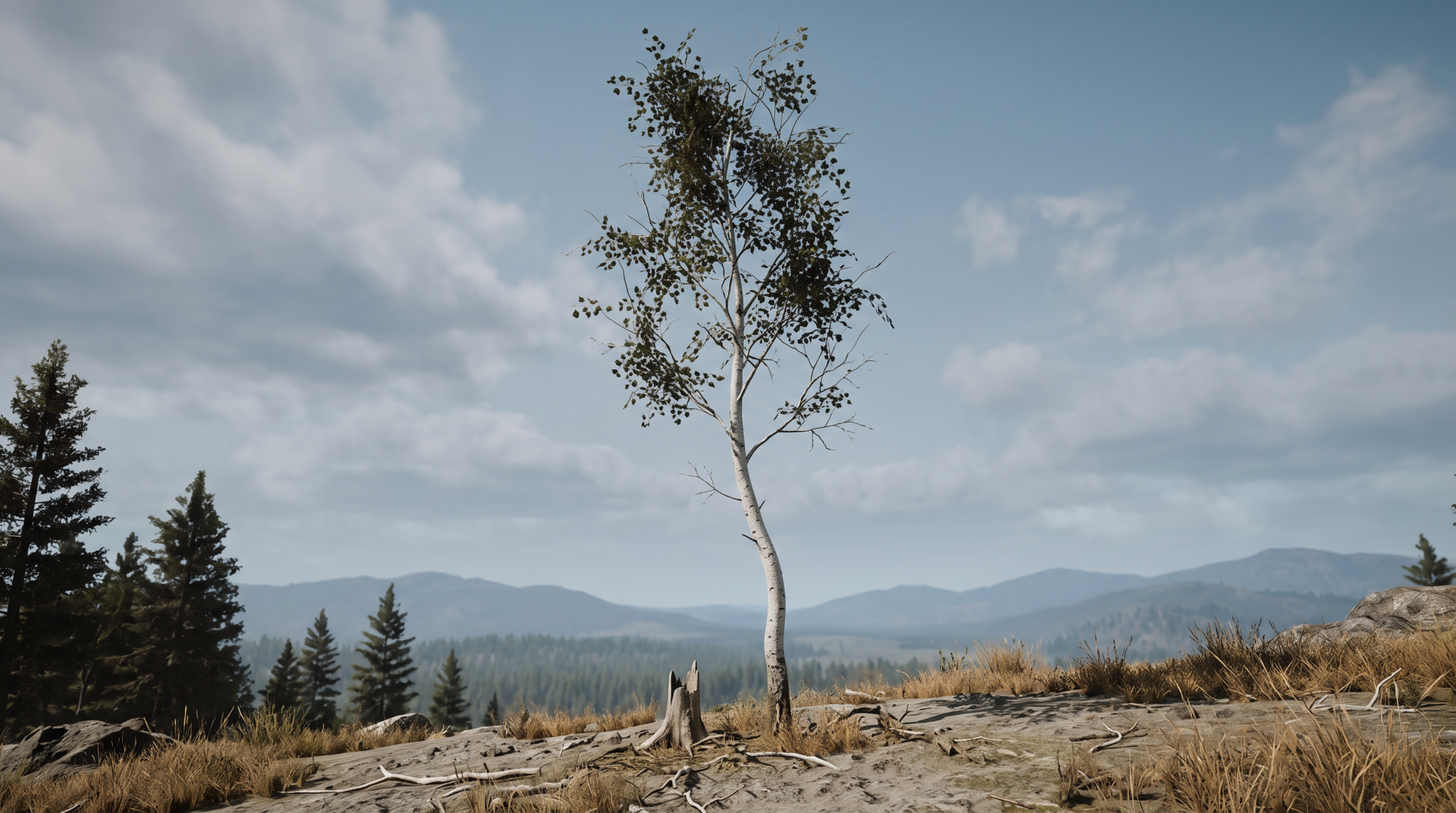 Landscape Tree Render
